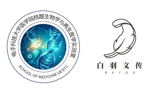喜报！电子科技大学医学院核酸生物学与再生医学实验室“人工智能培训基地”正式授牌！